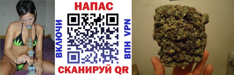  Кокаин Щигры