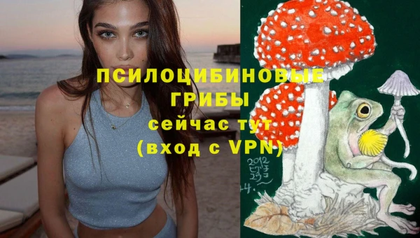 амф Алексин